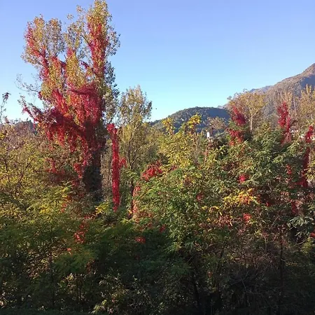 Liebesnest Am Maggiafluss Appartement
