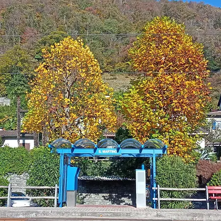 Liebesnest Am Maggiafluss