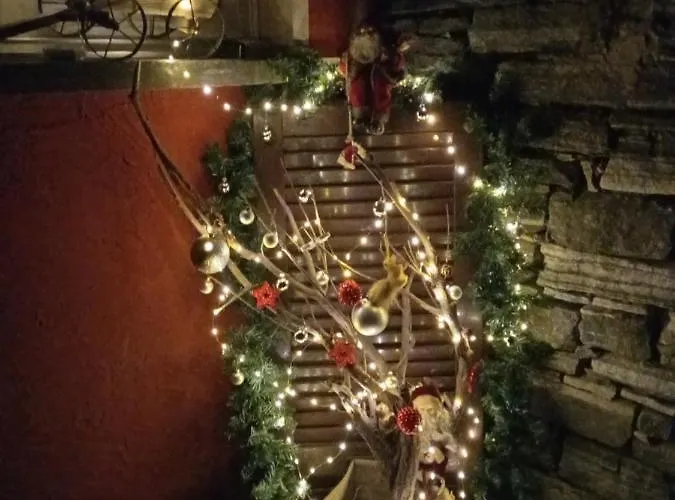 Liebesnest Am Maggiafluss