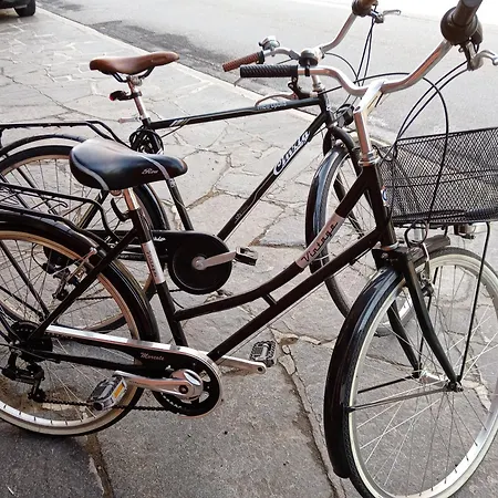 Liebesnest Am Maggiafluss Solduno