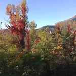 Liebesnest Am Maggiafluss דירה